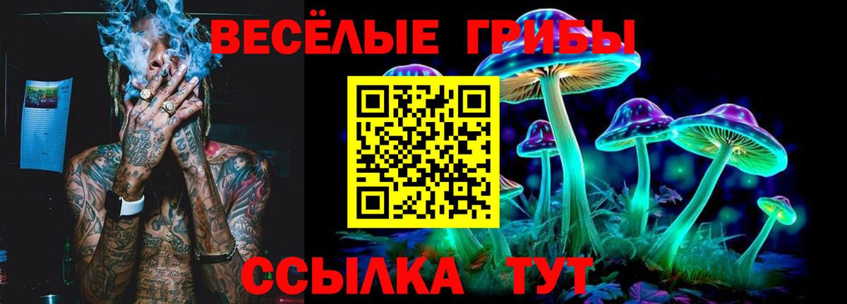 Галлюциногенные грибы Psilocybine cubensis  Галлюциногенные грибы Psilocybe  Вход с VPN  Абинск 